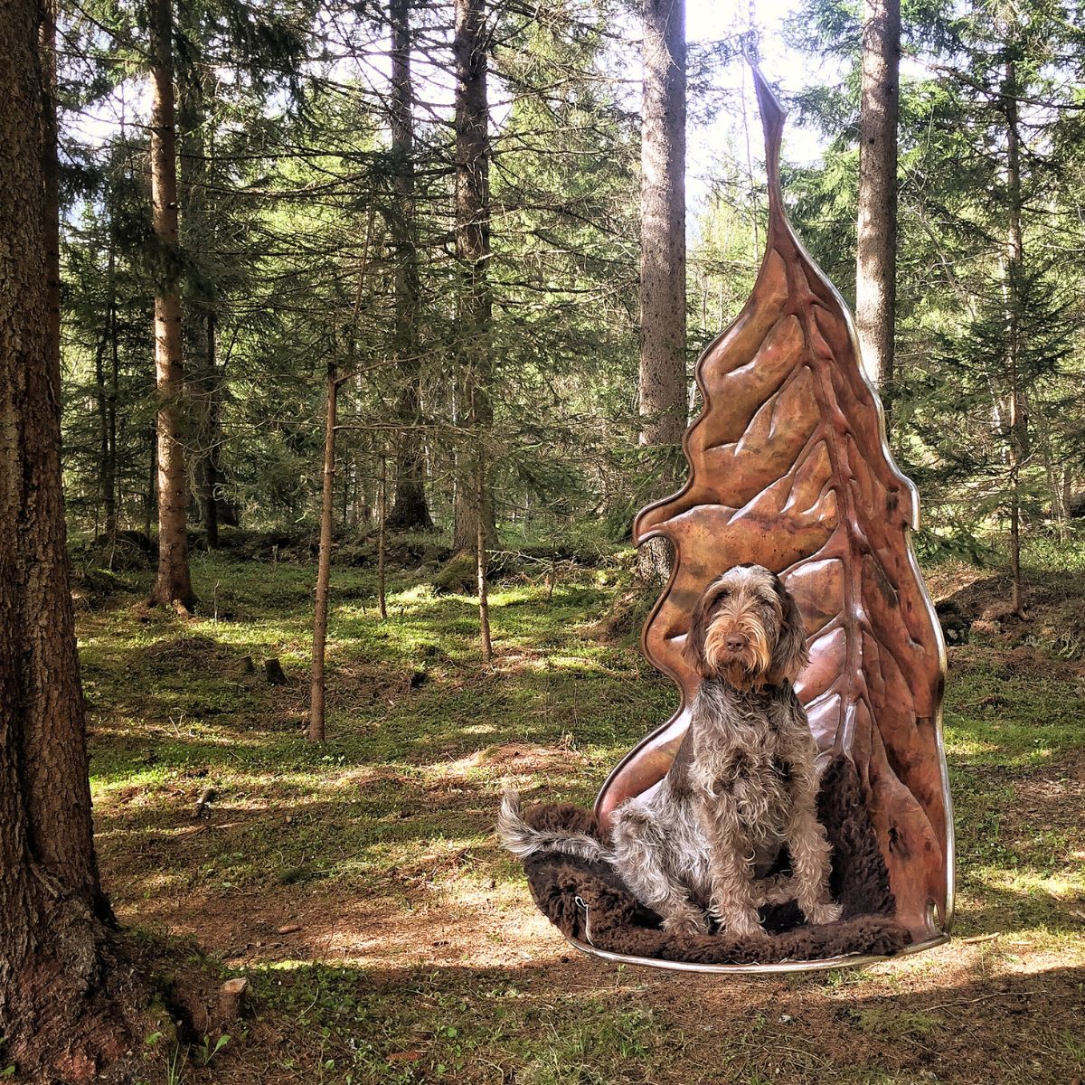 dog in oak leaf swing by kubucu dog in oak leaf swing by kubucu
