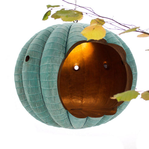 The Pumpkin The Pumpkin